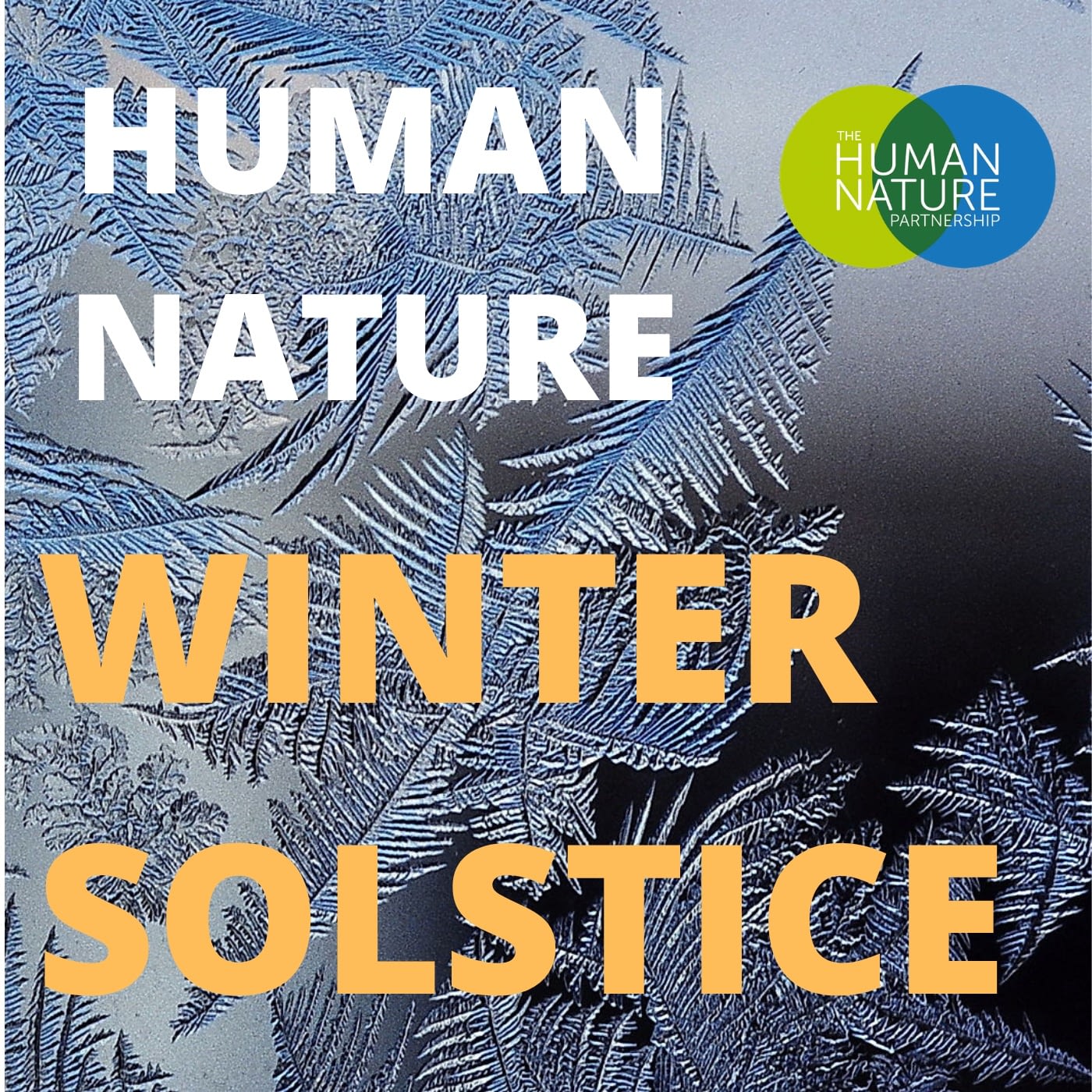 The shortest day - a playlist to mark the winter solstice ...