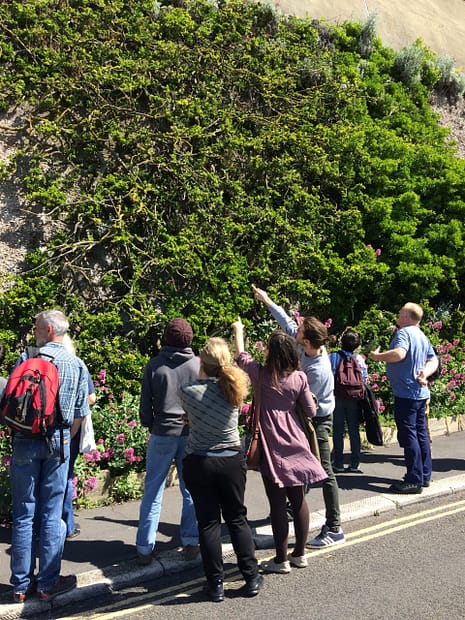 people nature green wall engagement