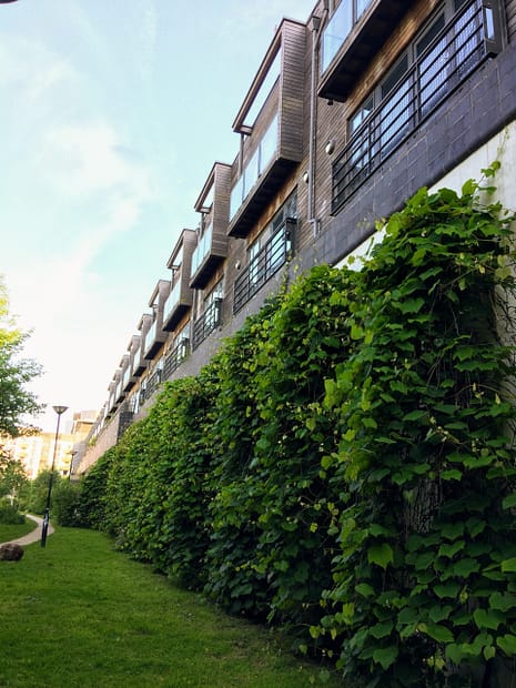 Brighton green wall housing development