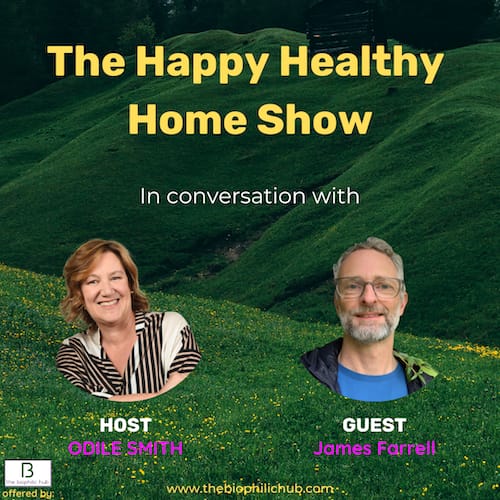 Happy health homes show flyer