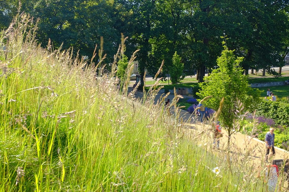 green roof and park the level Brighton