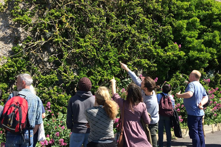 people nature green wall engagement