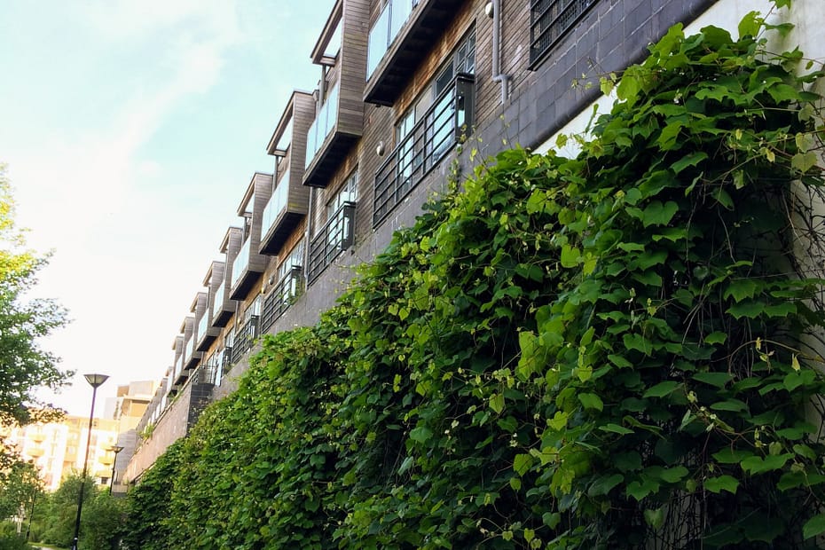 Brighton green wall housing development