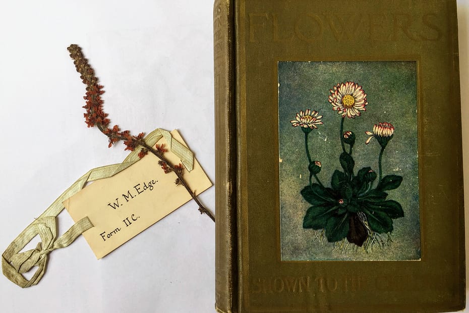 Antique flower book, label and dried flower