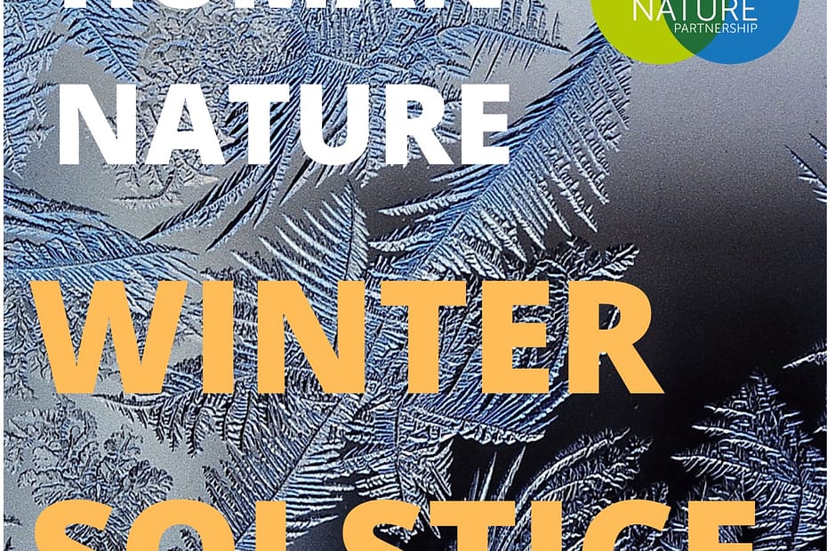 Human Nature winter solstice playlist album cover