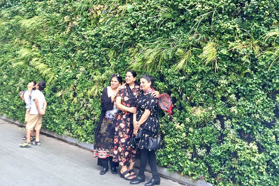 asian family standing by green planted wall