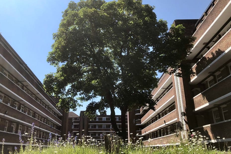 housing estate with tree and meadow