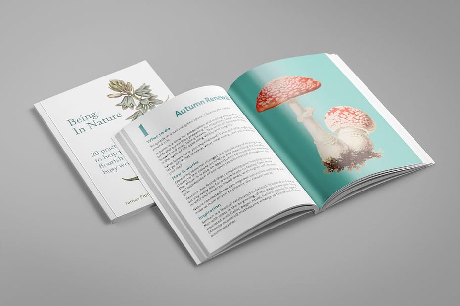 Being in Nature by James Farrell and Lee Evans open book mockup