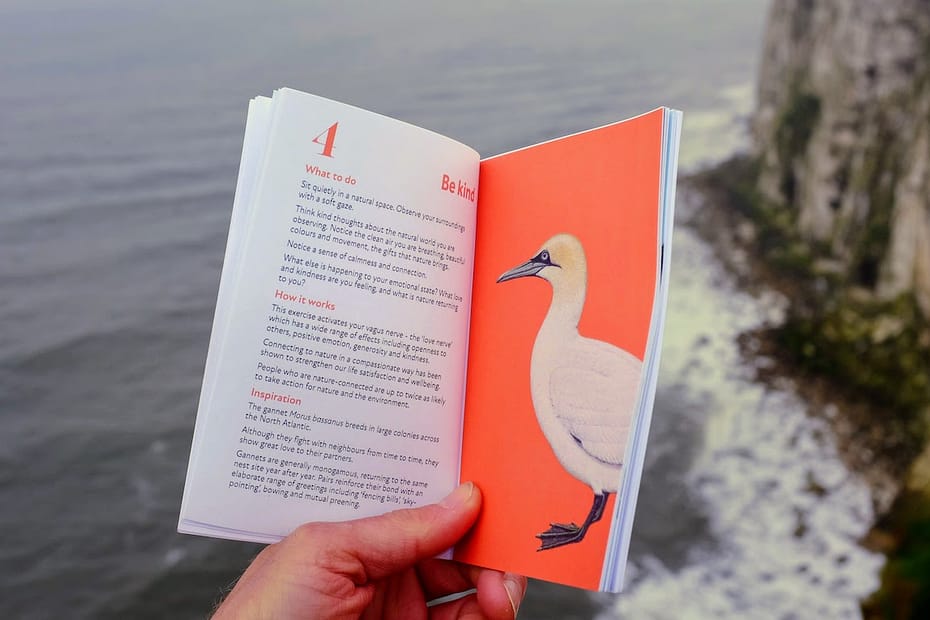 Being in Nature book - be kind, gannet illustration, sea, cliffs